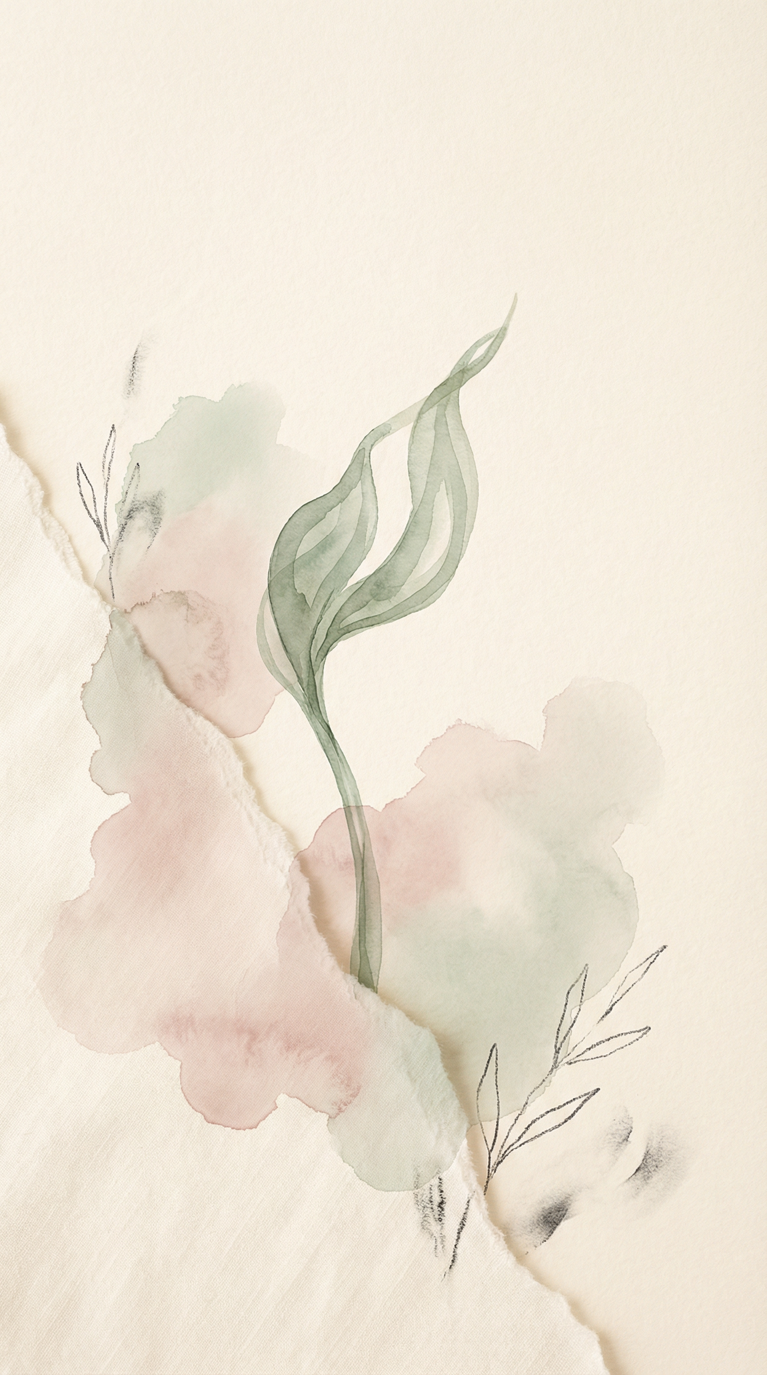 Growth and resilience - a plant growing through