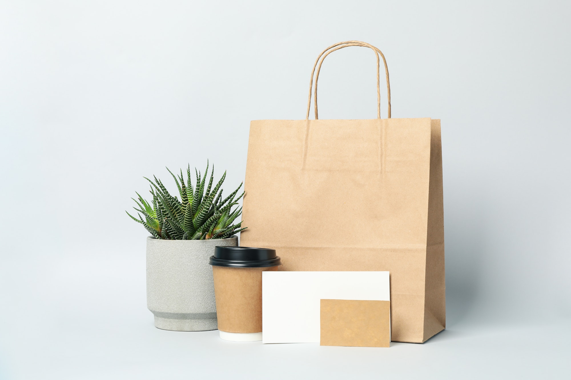 food-delivery-mockup-on-light-gray-background-space-for-text.jpg